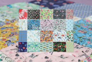 blanket image